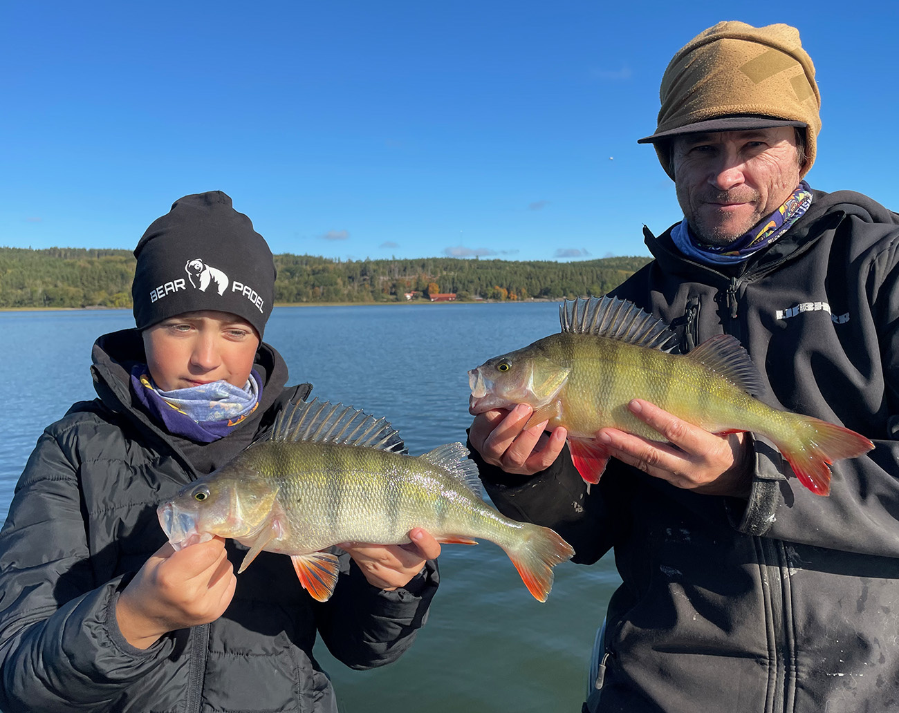 Molix Creature 10 cm